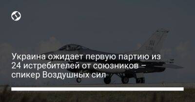 Украина ожидает первую партию из 24 истребителей от союзников – спикер Воздушных сил