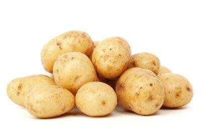 Вся правда о картофеле