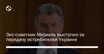 Экс-советник Меркель выступил за передачу истребителей Украине