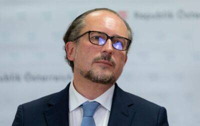 МЗС Австрії назвало "цікавою" запропоновану Україною формулу миру