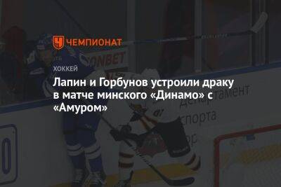 Лапин и Горбунов устроили драку в матче минского «Динамо» с «Амуром»