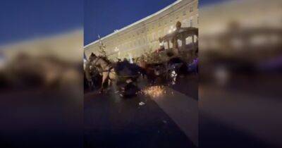 Пострадали двое детей: в Санкт-Петербурге запряженная лошадьми карета наехала на толпу (видео)