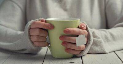 Действительно ли чай помогает пищеварению: что говорят ученые