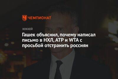 Гашек объяснил, почему написал письмо в НХЛ, ATP и WTA с просьбой отстранить россиян