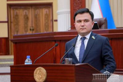 Покупка природного газа у "Газпрома", оказавшегося в тяжелом положении, будет "хорошим ходом" – вице-спикер нижней палаты парламента Узбекистана