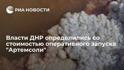 Пушилин: власти ДНР понимают, сколько денег нужно для оперативного запуска "Артемсоли"