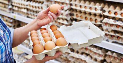 Яйца в Украине будут продавать по-новому. Что изменится