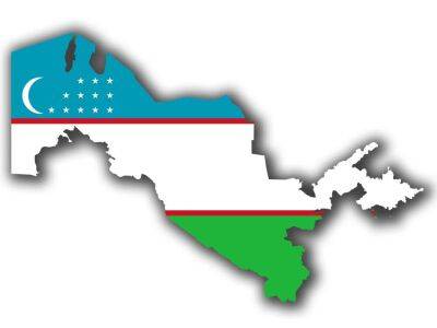 Число граждан Узбекистана, приезжающих в Россию на ПМЖ, снизилось в 4,3 раза