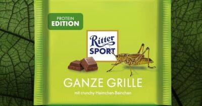 Ritter Sport анонсировали новую шоколадку со вкусом хрустящих ножек сверчка