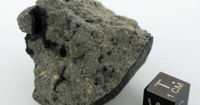 Сырье для жизни. Интригующий метеорит с Марса показал "огромное органическое разнообразие"