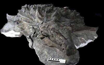 Археологи нашли морду динозавра, покрытую кожей