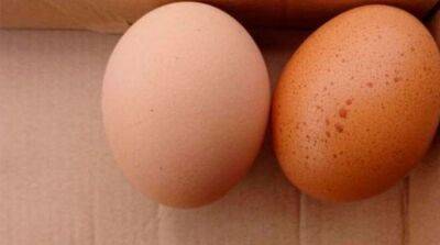 Поделят на классы: в Украине вводят новые правила продажи яиц