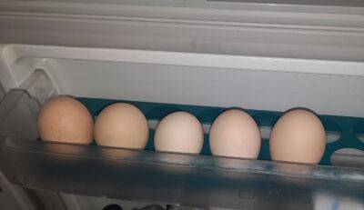 Украинцев начали готовить к новым правилам продажи яиц: поделят на классы и размеры - как изменится цена