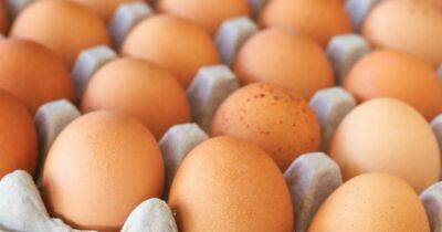 Правила продаж для куриных яиц на рынке скоро изменятся, — Минагрополитики