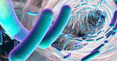 Латвийские ученые нашли группу веществ, предотвращающих устойчивость к антибиотикам