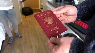 МВД РФ выдало в 2022 году более 5 млн загранпаспортов