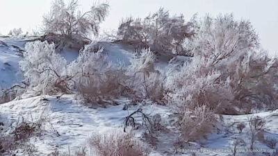 После трех недель аномального холода в Туркменистане местами потеплеет до +17 градусов