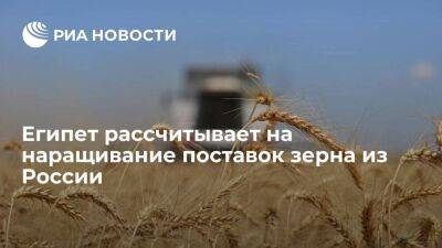 Глава МИД Египта Шукри: Каир рассчитывает на наращивание поставок зерна из России