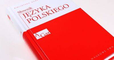 Польский язык собираются добавить в список предметов украинского ВНО