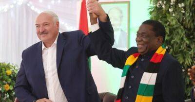Александр Лукашенко - Эммерсон Мнангагва - Президент Зимбабве подарил Лукашенко чучело льва, а взамен получил трактор (фото) - focus.ua - Украина - Белоруссия - Зимбабве
