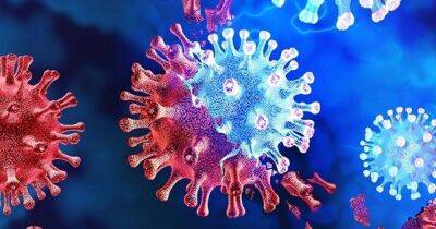 Особая диета. Ученые обнаружили организм, который может питаться исключительно вирусами - koronavirus.center - США - Украина - штат Небраска