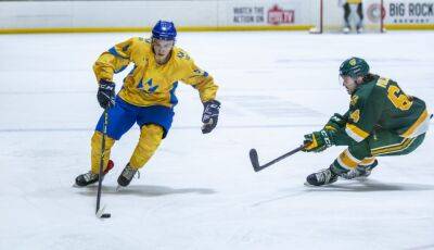 Студенческая сборная Украины проиграла третий контрольный матч в Канаде