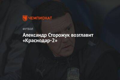 Александр Сторожук возглавит «Краснодар-2»