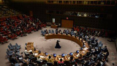 Швейцария и Мозамбик впервые стали членами Совбеза ООН