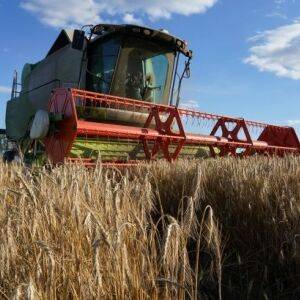 Як швидко аграрний сектор України відновиться після війни: прогноз