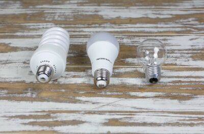 Как бесплатно получить новые LED-лампы: наконец-то появилась детальная инструкция