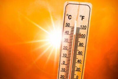 Середня температура на Землі у 2023 році підвищиться: експерти назвали причину