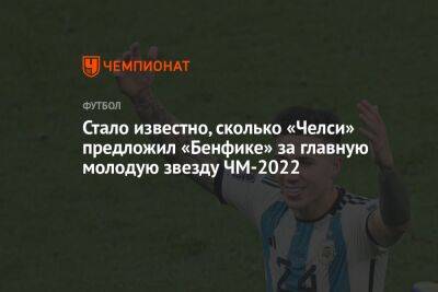 Стало известно, сколько «Челси» предложил «Бенфике» за главную молодую звезду ЧМ-2022