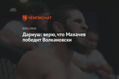 Дариуш: верю, что Махачев победит Волкановски