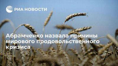 Абрамченко: продовольственный кризис в мире вызван проблемами с удобрениями и энергетикой