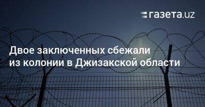 Двое заключённых сбежали из колонии в Джизакской области