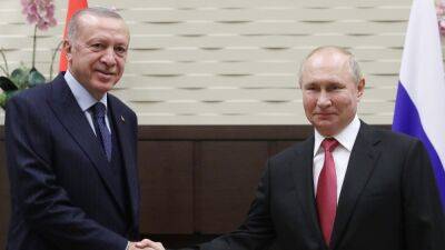 Эрдоган призвал Путина к прекращению боевых действий