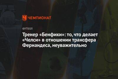 Тренер «Бенфики»: то, что делает «Челси» в отношении трансфера Фернандеса, неуважительно