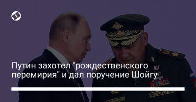 Путин захотел "рождественского перемирия" и дал поручение Шойгу