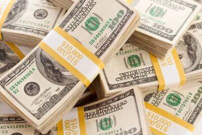 Чистая покупка украинцами валюты достигла $463,7 миллиона в декабре