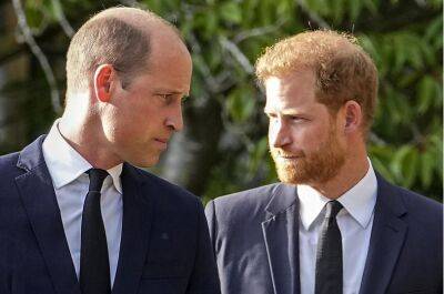 Guardian: принц Гарри рассказал о драке с братом Уильямом из-за Меган Маркл