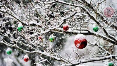 На Різдво українцям пообіцяли справжню зиму