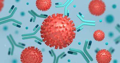 COVID повсюду. Ученые обнаружили, что вирус полностью захватывает тело человека - koronavirus.center - Украина