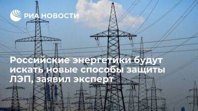 Лемех: российские энергетики будут искать новые способы защиты ЛЭП от происшествий