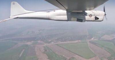 Летел бомбить Украину: ВСУ сбили редкий ударный вариант дрона Орлан-10 (фото)