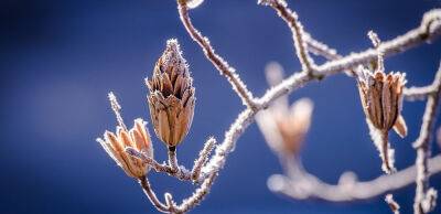Морози пішли у наступ: де в Україні збережеться тепло 7-8 січня
