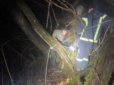 Мужчина упал с десятиметрового обрыва, пытаясь нелегально пересечь границу с Румынией – Госпогранслужба