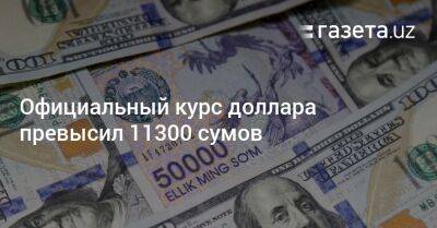 Официальный курс доллара превысил 11300 сумов