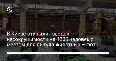 В Киеве открыли городок несокрушимости на 1000 человек с местом для выгула животных – фото