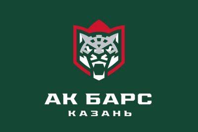 Как "Ак Барс" обыграл "Витязь" в видеообзоре матча КХЛ