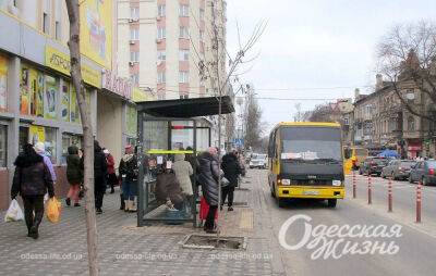 У Привоза появились новые цветочные ряды | Новости Одессы
